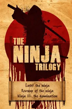 Enter the Ninja - Saga