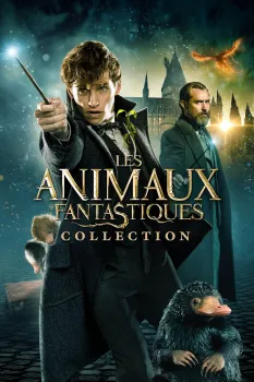 Les Animaux fantastiques - Saga