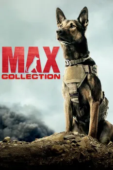 Max - Saga