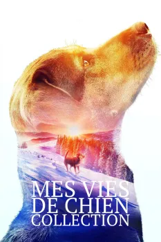 Mes Vies de Chien - Saga