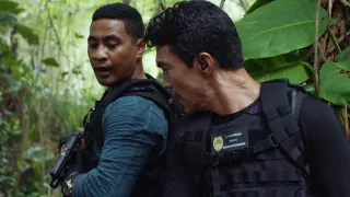 Hawaii 5-0 - Saison 10 - Ne'e aku, ne'e mai ke one o punahoa