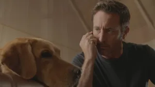 Hawaii 5-0 - Saison 10 - I ho'olulu, ho'ohulei 'ia e ka makani