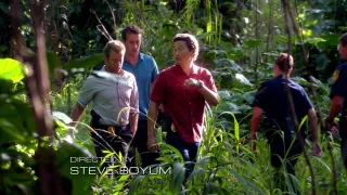 Hawaii 5-0 - Saison 2 - Kupale (Défenseur)