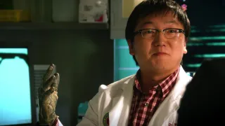 Hawaii 5-0 - Saison 2 - Mea Makamae (Trésor)