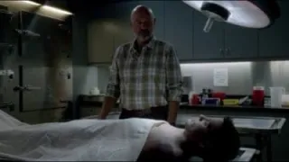 Hawaii 5-0 - Saison 4 - Kupu'eu (Le héros déchu)