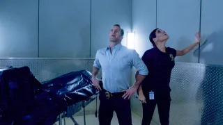 Hawaii 5-0 - Saison 5 - 'Ike Hānau (Instinct)