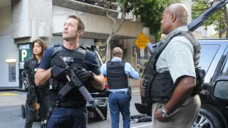 Hawaii 5-0 - Saison 6 - Pa'a ka 'ipuka i ka 'upena nananana (L'entrée est bloquée par une toile d'araignée)