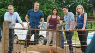 Hawaii 5-0 - Saison 6 - Hana Keaka (Enigme)