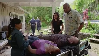 Hawaii 5-0 - Saison 8 - Waiho Wale Kahiko (Anciens exposés)