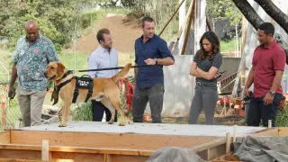 Hawaii 5-0 - Saison 8 - O Na Hoku O Ka Lani Ka I 'Ike Ia Pae (Seules les étoiles du ciel savent où Pae est)